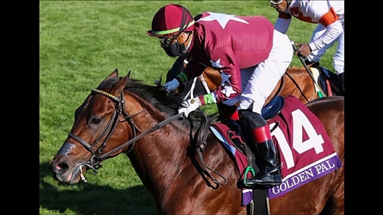 Breeders Cup 2020