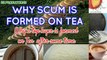 WHY SCUM IS FORMED ON TEA | Why a layer is formed on Tea after some time.