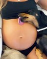 dog likes to lick pregnant woman's belly - dog likes to lick pregnant woman's belly -
