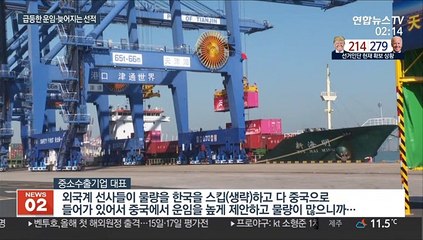 경제봉쇄 풀리자 이번엔 배 부족…수출길 막힌 기업들