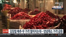 김장철 배추·무 가격 떨어지는데…양념채소 가격 급등