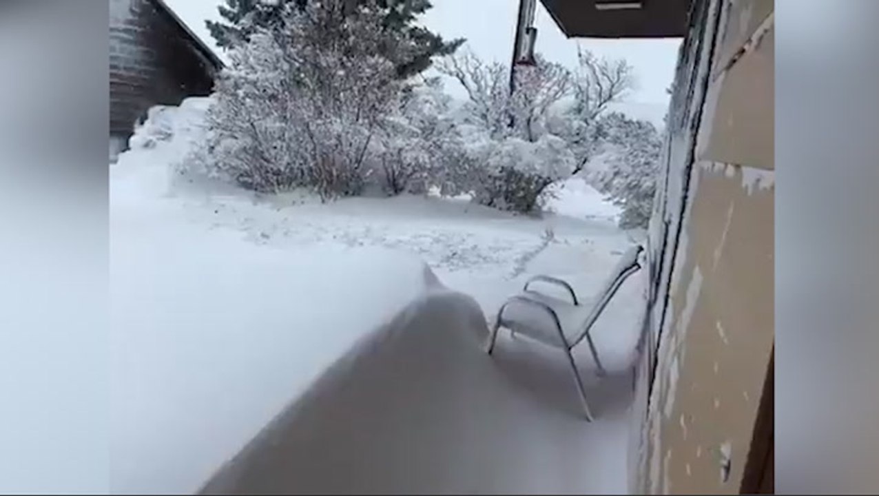 Snowdrift builds a small wall outside the front door