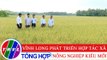 Nông nghiệp bền vững: Vĩnh Long phát triển hợp tác xã nông nghiệp kiểu mới