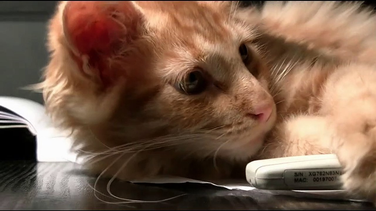 Música para Relaxar e descansar, Musik zum Entspannen und Ausruhen, Musique pour se détendre et se reposer, música para relajarse y descansar, music to Relax and Rest