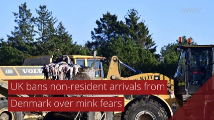 UK bans non-resident arrivals from Denmark over mink fears, and other top stories in international news from November 09, 2020.
