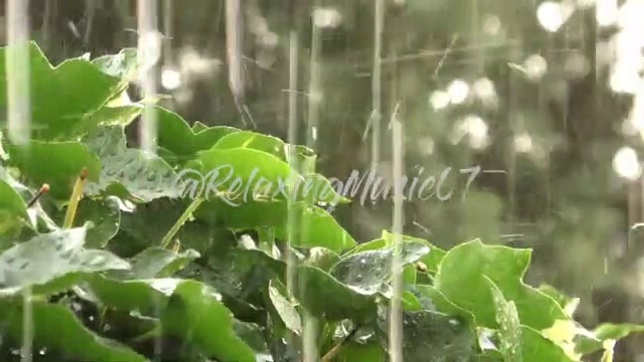 SONIDOS de la LLUVIA RELAJANTE SIN TRUENOS y un POCO INTENSA para DORMIR