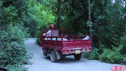 “The life of rapeseed oil”《菜籽油的一生》之 钵钵鸡,蛋黄酥,油焖笋,咸蛋黄小龙虾)哈！哈！丨Liziqi Channel