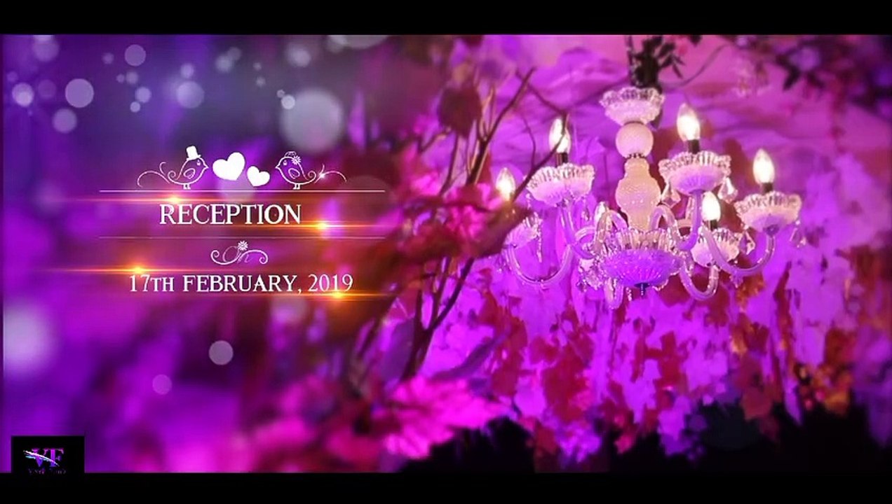 Titel Project Premiere pro Project &  Edius 10/9/8 Project || Wedding Edius Video Editing Software Effects || Wedding projects || VIVEK FILM || #07