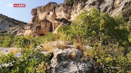 "Ashab-ı Kehf Diyarbakır'da uyandı"