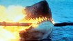 JAWS 2 Open Wide Clip + Trailer (1978) Retro Horror