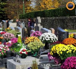 Les fleurs invendues ont servi à décorer les tombes vides grâce à ce pépiniériste