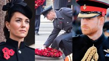 Royals Reunite at Remembrance Event Without Prince Harry