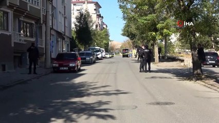 Şüpheli paket patlatıldı, kedinin tepkisi gülümsetti