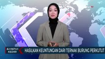 Hasilkan Keuntungan Dari Ternak Burung Perkutut