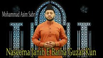 Naseema Janib E Batha Guzar Kun | HD Video | Naat | Mohammad Asim Sabri | Naat