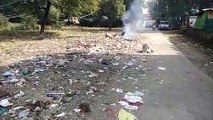 शाजापुर के पनवाड़ी ग्राम पंचायत में स्वच्छता मिशन की खुलेआम धज्जियां उड़ाई जा रही है