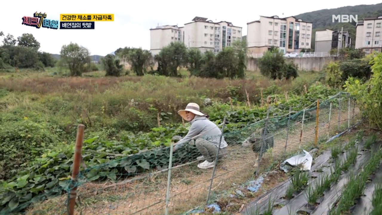 싸다 싸! 무료 마트! 건강한 채소 가득 배연정의 텃밭 대공개