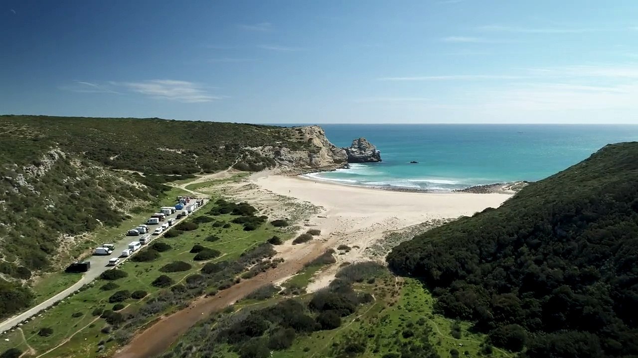 Paradise beach aerial view - Free Stock Video - Mixkit