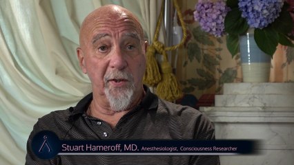 Stuart Hameroff - quantum consciousness, microtubules