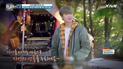 소나무 숲에서 즐길 수 있는 차박 명소! [전국 캠핑 여지도 19]