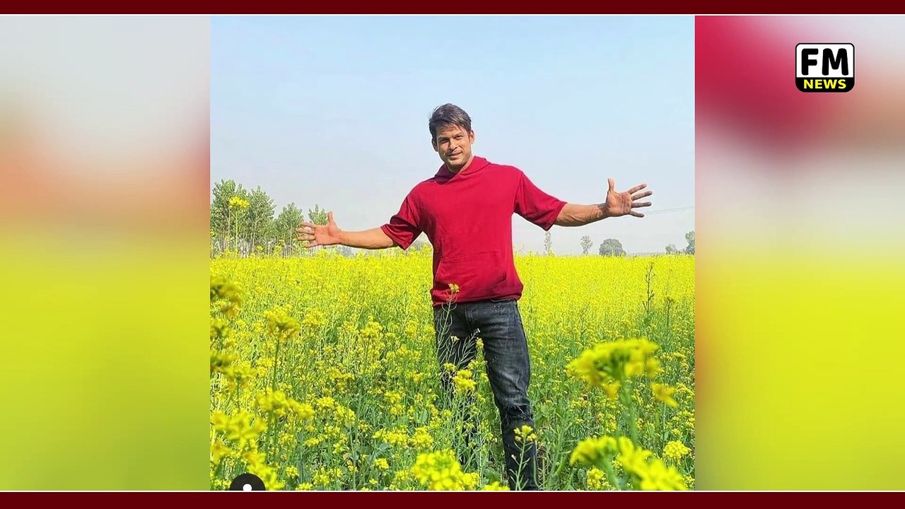 Sidharth Shukla & Shehnaaz Gill Fun In punjab, Sidharth Shukla ने चलाई बैलगाड़ी