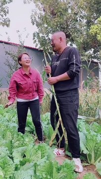 you cant stop your laughing with cute husband and wife..!!