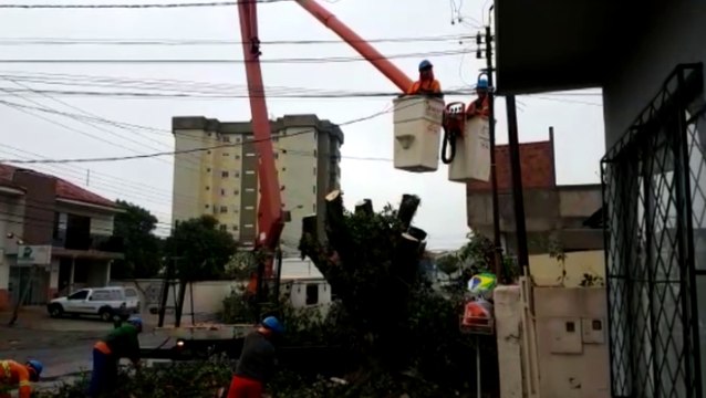 Árvore cai na Rua General Osório, no Parque São Paulo e via é interditada