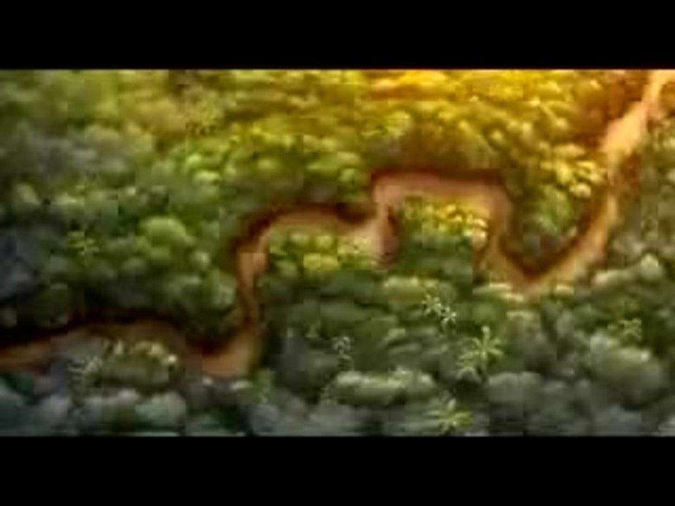 Kleiner Dodo - Trailer