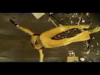 Kill Bill - Trailer