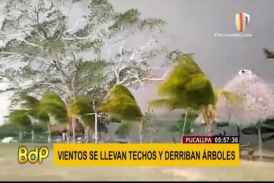 Vientos huracanados en Pucallpa derribaron techos y árboles