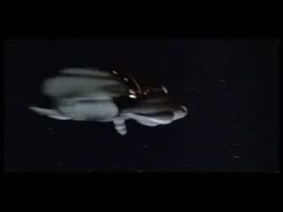 PREDATOR TRAILER (MUST SEE !!!!!!)