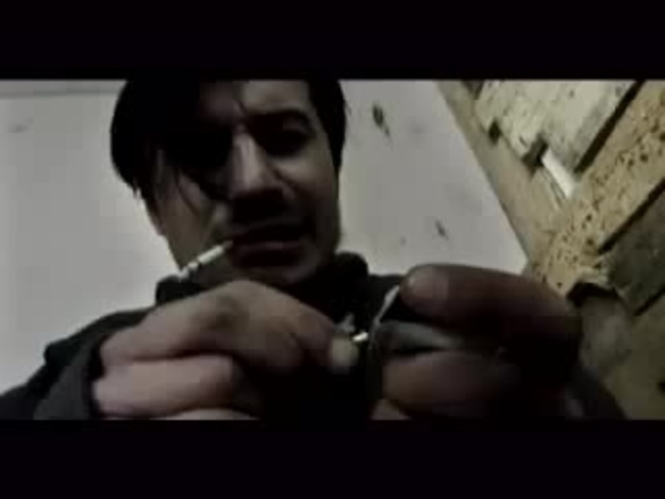 Die Wahrheit Ã¼ber das Volk der MÃ¤use