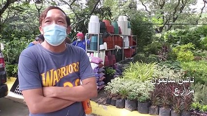 "وباء البستنة" يضرب الفيليبين في زمن كورونا