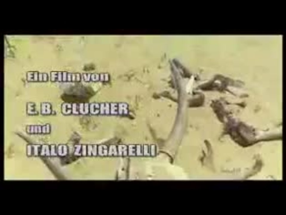 Vier FÃ¤uste FÃ¼r Ein Halleluja