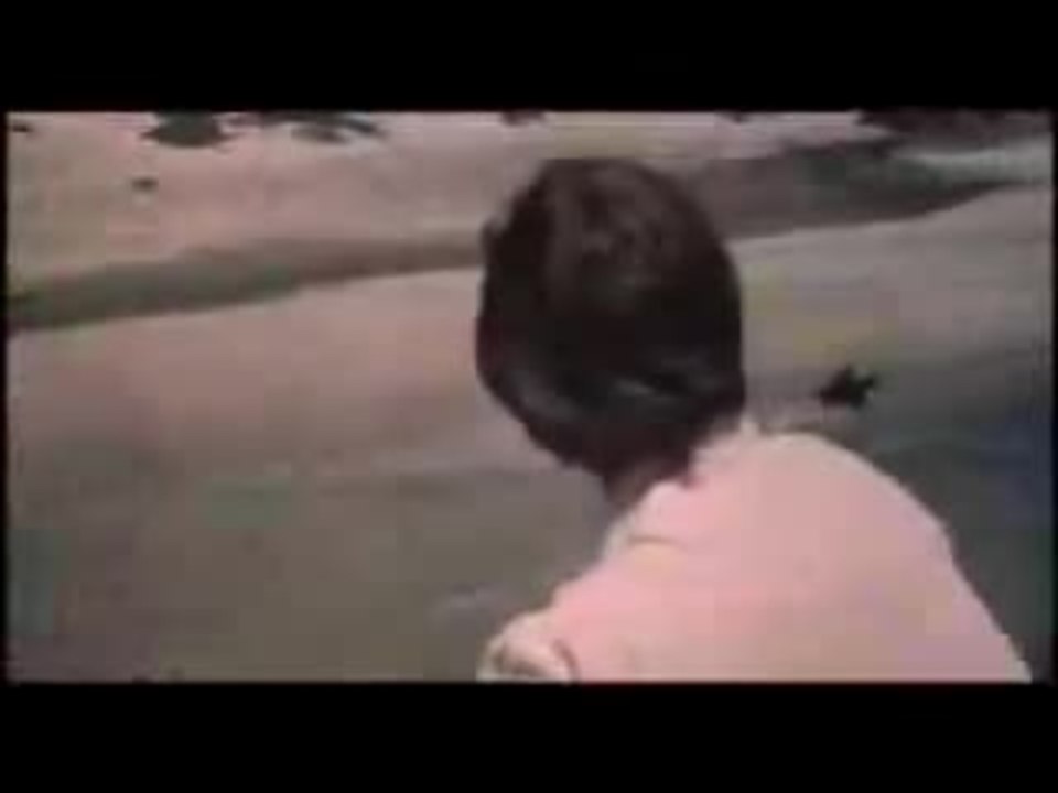 The Trip - Trailer