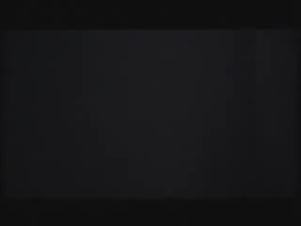 THE YEAR OF THE HORSE