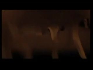 MOVIE : SOLYARIS (Solaris)  [1972]