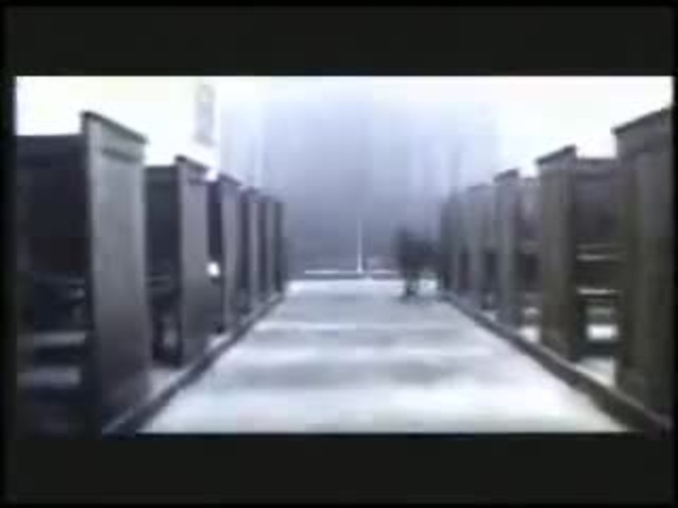 Dobermann, film by Jan Kounen