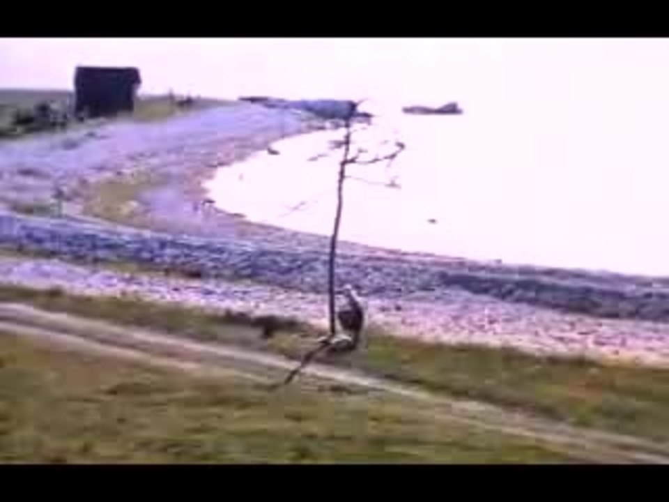 Andrei Tarkovsky / The Sacrifice (Offret) / Trailer