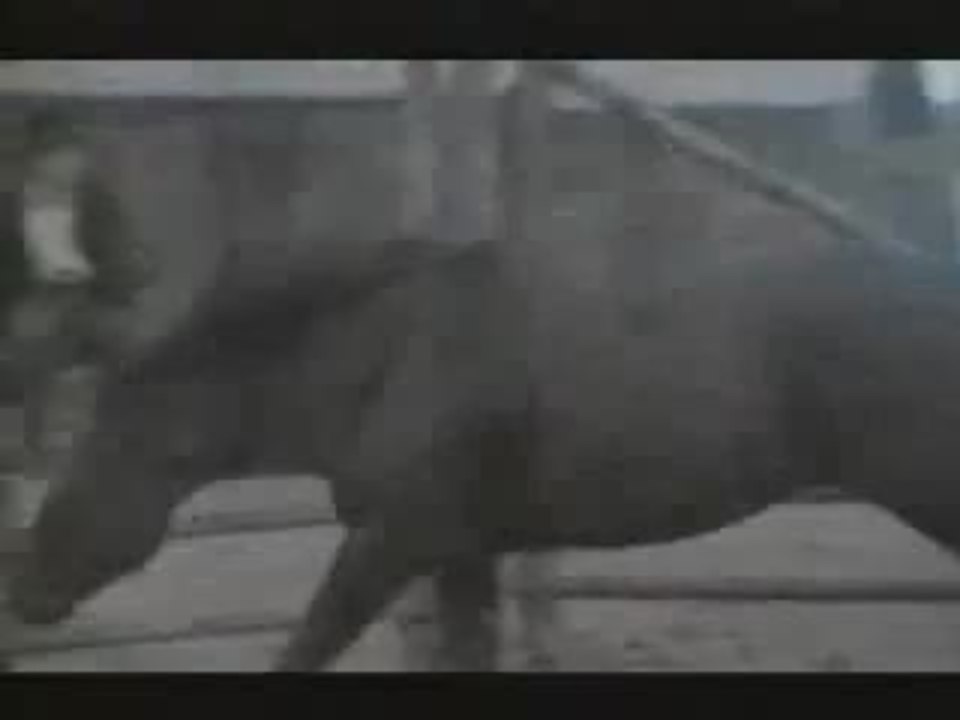 The Jack Bull (1999) Trailer