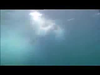 Hammerhead: Shark Frenzy - Trailer