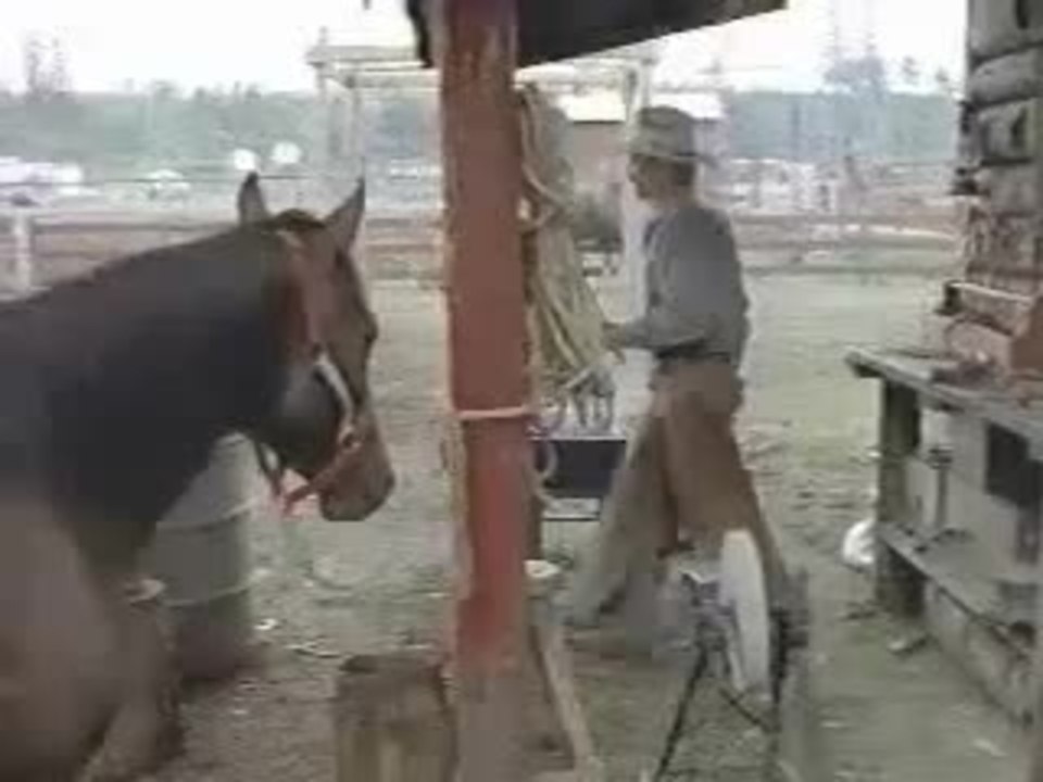Kyle Chandler in Convict Cowboy clip 1