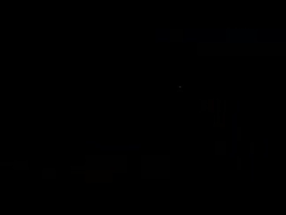 The Postman Always Rings Twice(1981)