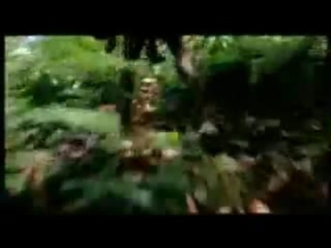 Anacondas: The Hunt for the Blood Orchid trailer