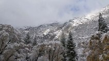Snowfall turns Yosemite into winter wonderland