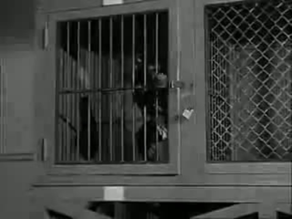 Liebling, ich werde jÃ¼nger Trailer