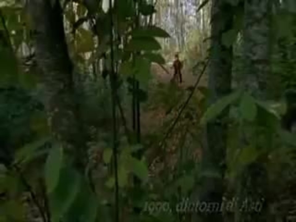 ti piace hitchcock