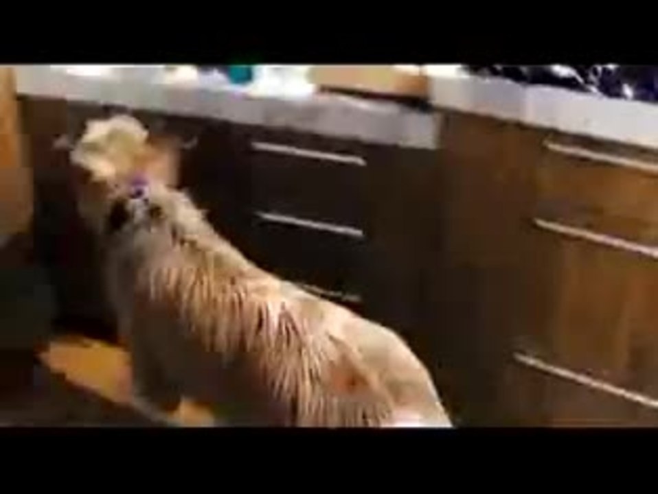 Sind wir endlich fertig?