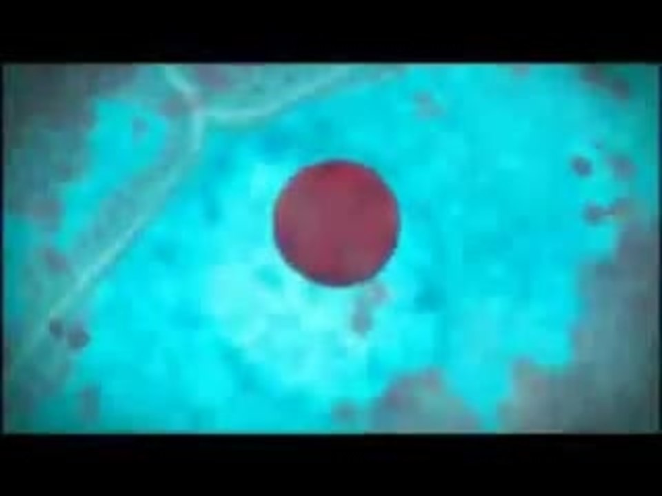 Origin: Spirits of the Past Trailer