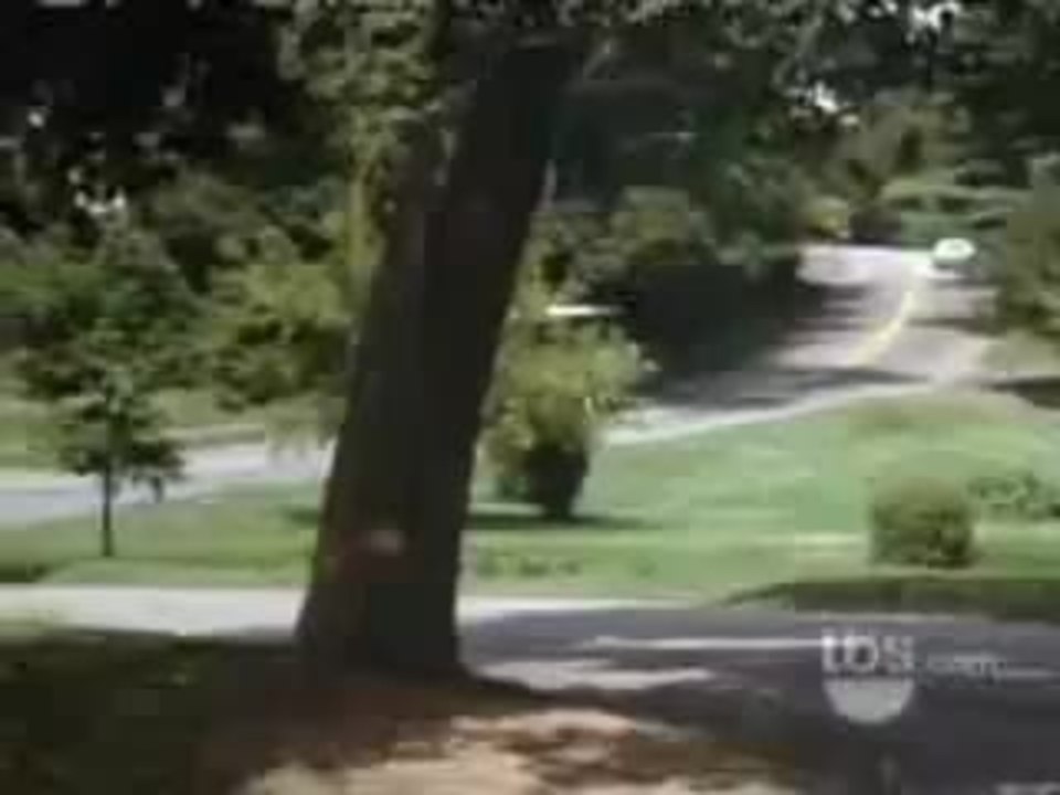 Housesitter clip with Goldie Hawn